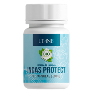 Incas Protect